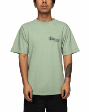Stussy Superior Quality Pigment Dyed Tee：圖片 2